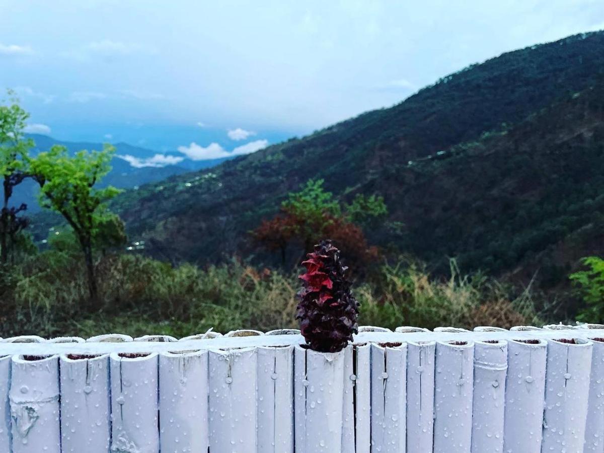 Pahaadi Dhun Homestay Chamba  外观 照片